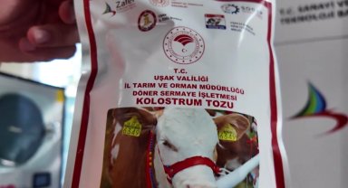 Uşak'ta Türkiye'nin ilk dondurarak kurutma kolostrom tesisi kuruldu... Hayvancılıkta yenilikçi adım hayata geçti