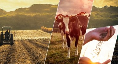 17,4 milyar TL'lik tarımsal destek çiftçilerin hesabında