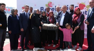 Adana Büyükşehir'den Pozantı'ya 900 bin çilek fidesi desteği