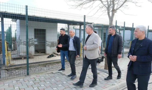 Adanalı veterinerlerden hayvan bakımevine inceleme