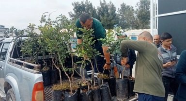 Alanya'nın coğrafi işaretli keçiboynuzuna destek