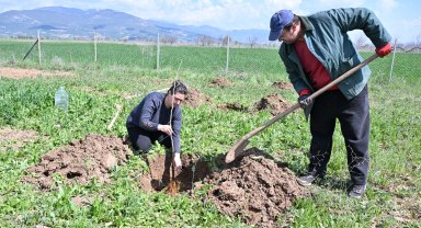 Antalya Korkuteli ilk kez ipekböcekçiliği ile tanışıyor