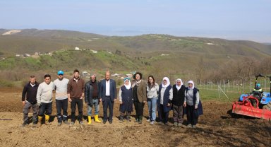 Bursa Nilüfer'de atıl araziler bereketleniyor