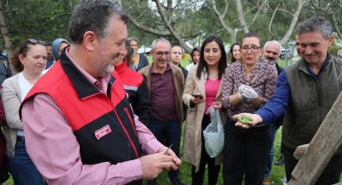 Bursa siyahı incirde sıkı denetim