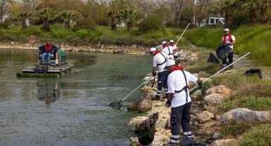Çakalburnu Lagünü'nden Körfez'e yayılan yosunlara yoğun müdahale