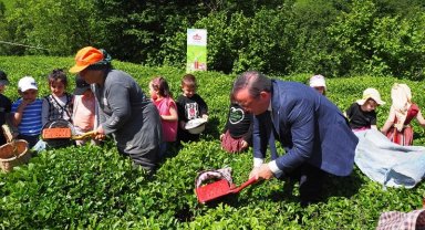 Çay İşletmeleri'ne personel atamalarında 40 yaş şartı aranmayacak