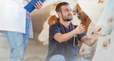 Denizli Büyükşehir'den üreticiye sahada destek