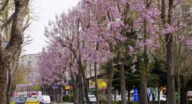 İstanbul Beylikdüzü'nde bakım ve yaz hazırlığı bir arada