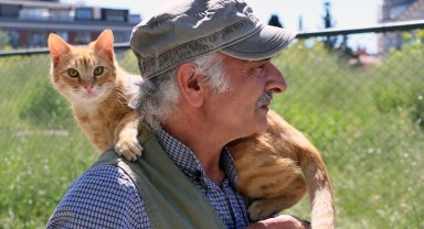 İstanbul Maltepe'de "can dostlar" güvende