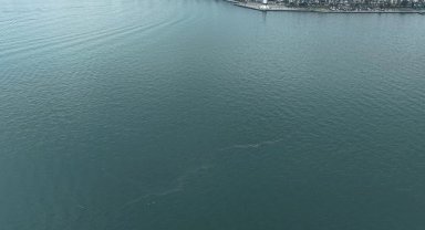 İzmir Körfezi'nde dış kaynaklı kirliliğin önüne geçilemiyor