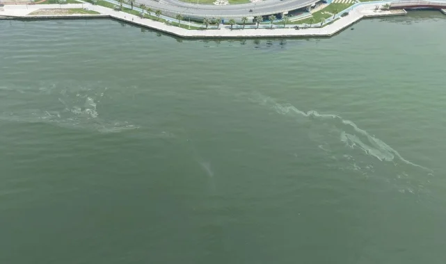 İzmir Körfezi'nde kirlilikte 10'uncu tespit