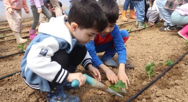İzmitli çocuklar ilk fidelerini çocuk serasında ekti