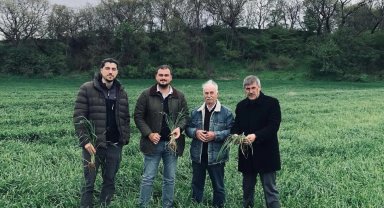 Keşan'da yağışlar verimi artırdı, hastalık riskini büyüttü