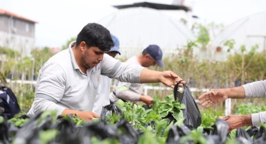 Muğla Dalaman'da üreticilere fide desteği sağlandı