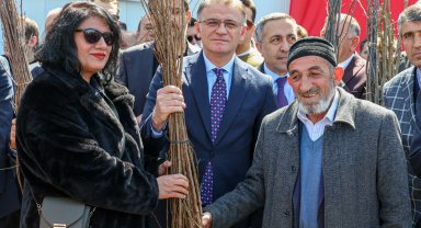 Van'da hedef 5 milyon meyve fidanı
