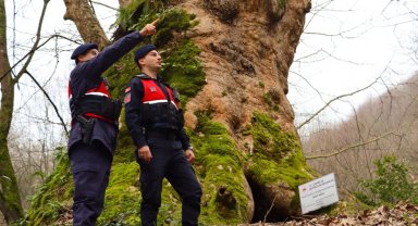 Yalova'da Jandarma turizm bölgelerinde güvenliği artırdı