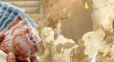 6,4 milyar TL'lik destek çiftçilerin hesaplarına aktarıldı