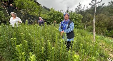 Adana'da 'Ak Zambak'la kadın üretimi ve istihdama katkı