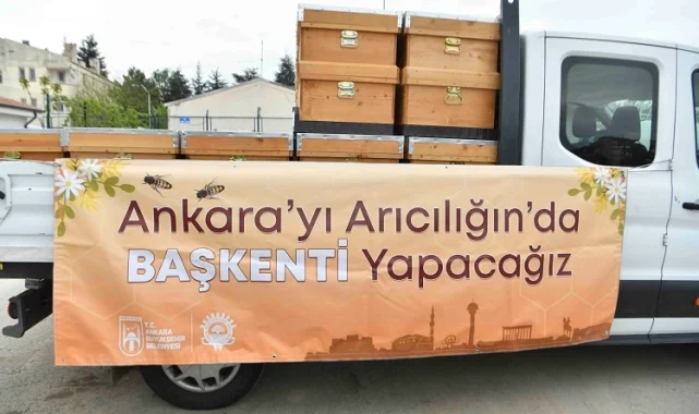 Ankara Büyükşehir'den arıcılara kovan desteği
