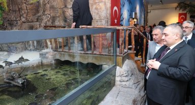 Ankara Keçiören'de yenilenen Deniz Dünyası açıldı