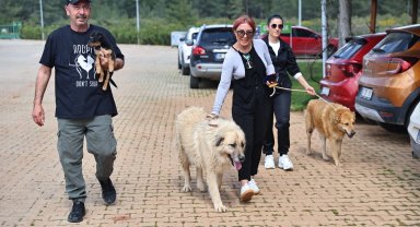 Antalya'da can dostlar sıcak yuvalarına kavuşuyor