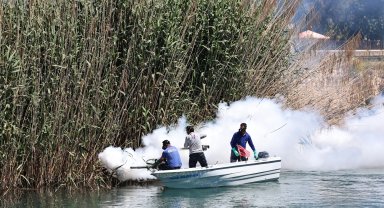 Antalya'da denizden karaya ilaçlama yapılıyor
