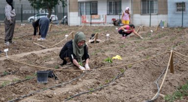 Avrupa'dan Bornova'ya kent bostanı incelemesi