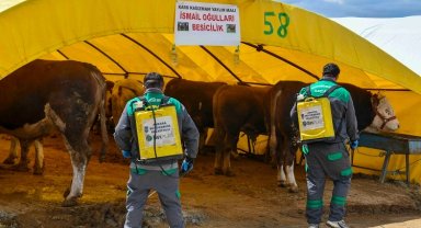 Başkent'te kurban alanlarına sıkı denetim