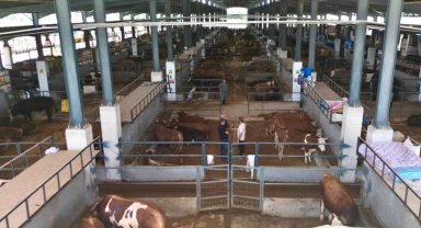 Bursa İnegöl'de modern hayvan pazarı yüzleri güldürdü