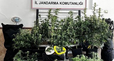 Bursa'da kilolarca esrar ve skunk ele geçirildi