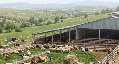 Çiftçilere 5,48 milyar TL tarımsal destek ödemeler hesaplarda