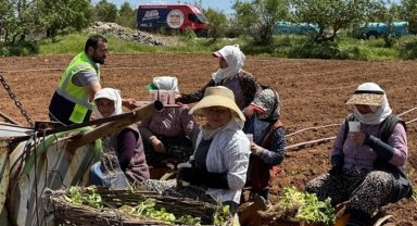 Denizli'de tarlalara ikram molası