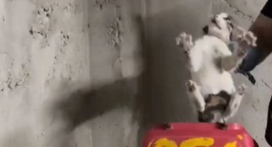 Eskişehir'de itfaiye ekiplerinden yürek ısıtan kurtarma