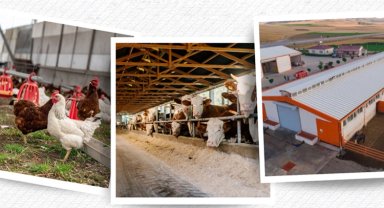 IPARD III sonuçları açıklandı... 218 projeye 2,5 milyar TL hibe