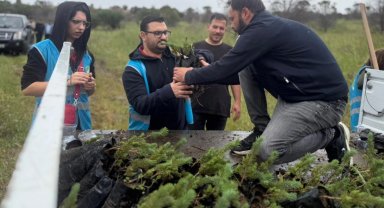İzmir Aliağa'da yangınların yarası bin fıstık çamıyla sarıldı