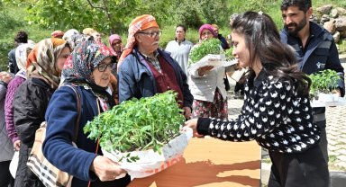 İzmir Bornova'da 150 bin yazlık sebze fidesi dağıtıldı