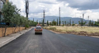 İzmir Bornova'da asfalt seferberliği