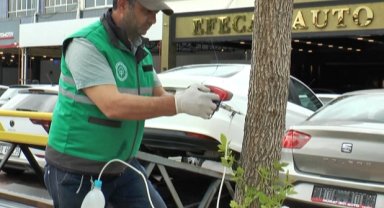 Kayseri Kocasinan'da ağaçlara sıkı koruma