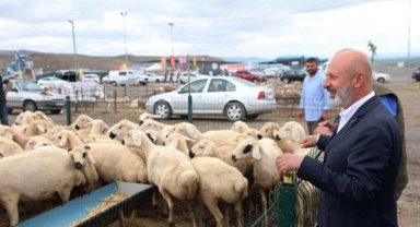 Kayseri Kocasinan'dan profesyonel kurban hazırlığı