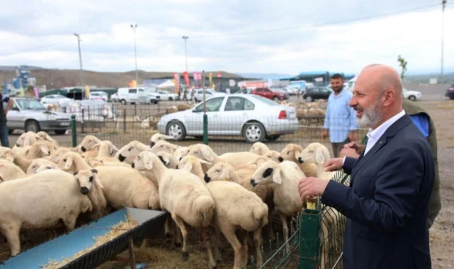 Kayseri Kocasinan'dan profesyonel kurban hazırlığı