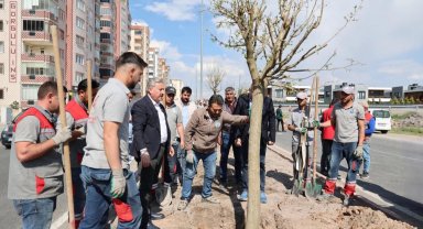 Kayseri Melikgazi'den yemyeşil atılım
