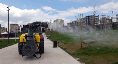 Kayseri Talas'ta haşeratla tam gaz mücadele