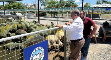 Kayseri Talas'ta kurban pazarına yoğun ilgi
