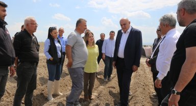 Konya'da patates atağı... İthal tohum dönemi sona eriyor