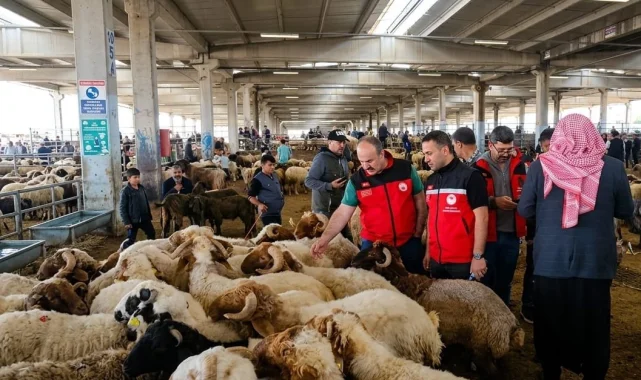 Kurban denetimleri 81 ilde sıkılaştırıldı