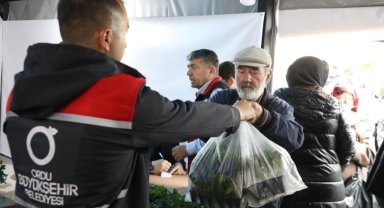 Ordu'da 300 bin yazlık sebze fidesi dağıtımı başladı