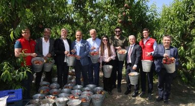 Şeftali ve nektarinde 250 milyon dolar ihracat hedefi
