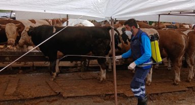 Trabzon'da kurban alanlarında hijyen seferberliği