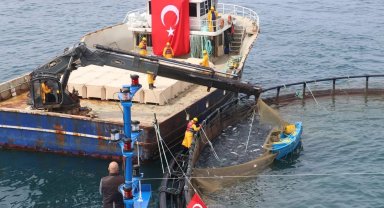 Türk somonu ihracatta rekor yolunda... Üretim 75 bin tona ulaştı