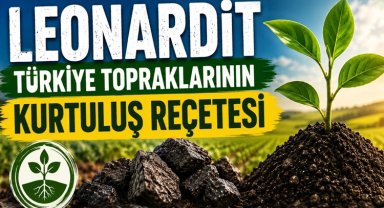 Türkiye tarımında yeni umut... Leonardit ile toprağın hafızası canlanıyor